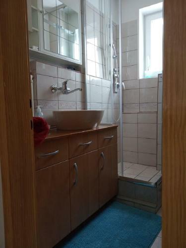 Apartment Janja