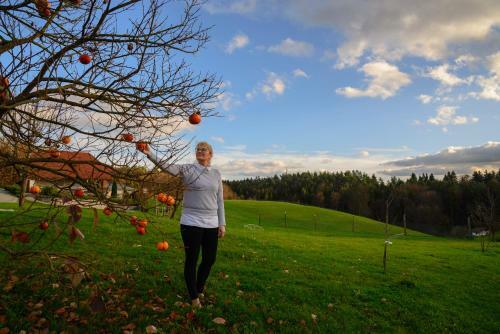 Holiday Home Dobrotin
