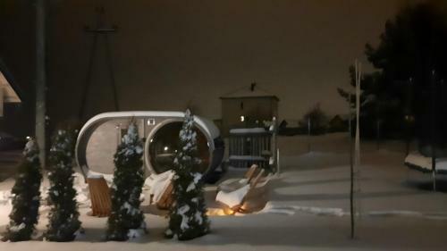 Rozmaryn