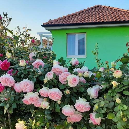 Termalna Rivijera Apartmani