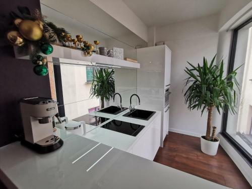 Apartamento Maxx