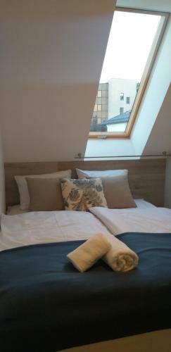 Apartamenty Nad Niwk?