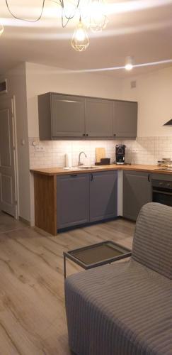 Apartamenty Nad Niwk?