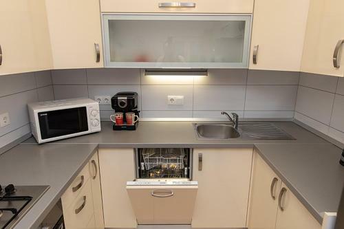 Apartmani Vice