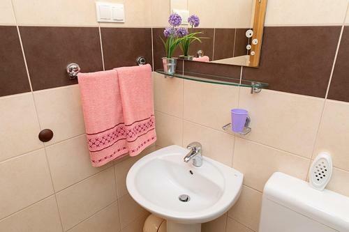Apartmani Vice