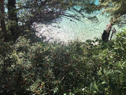 Apartments By The Sea Brela, Makarska - 16950