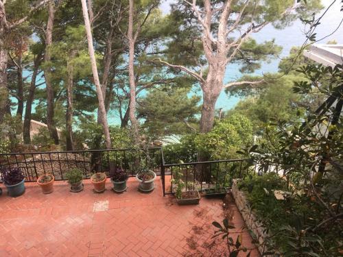 Apartments By The Sea Brela, Makarska - 16950