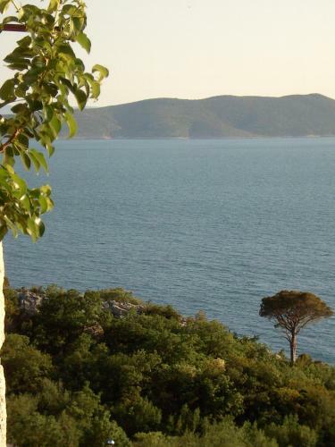 Apartamento Top Ferienhaus Brela