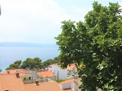 Hostal Berulia Accommodation