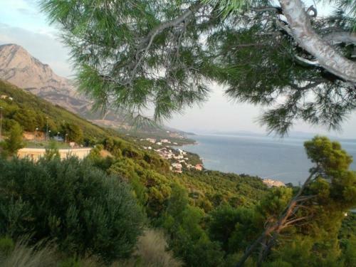 Werz Sea View Apartment