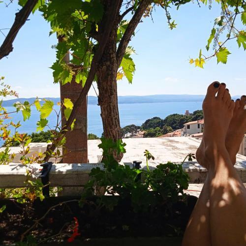 Apartamento Studio Katara Brela