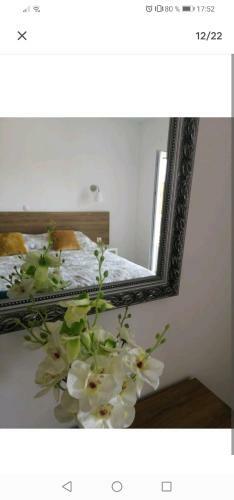 Apartmani Vesna