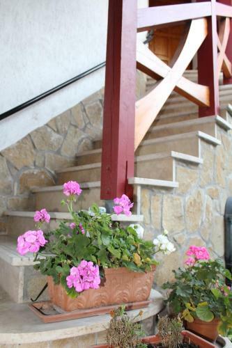 Danubia Apartman