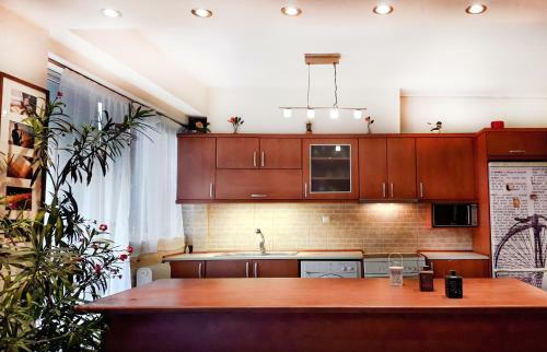 Saki's Apartment