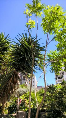 Apartamento Minimal Studio In Paleo Faliro