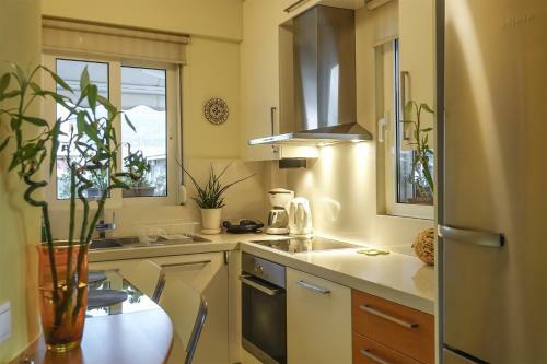 Apartamento Skyview Penthouse / Central Athens
