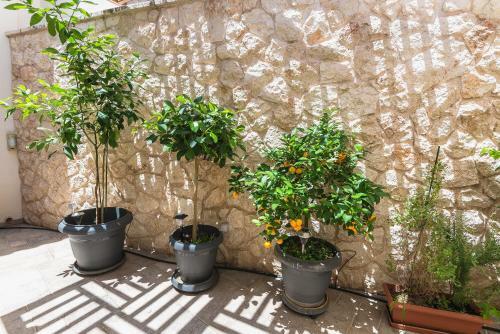 Apartamento Dreamy House Near Acropolis