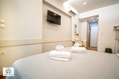 Syntagma Square Athenian Apartments