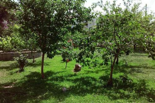 Apartamento Sunny Garden Studio