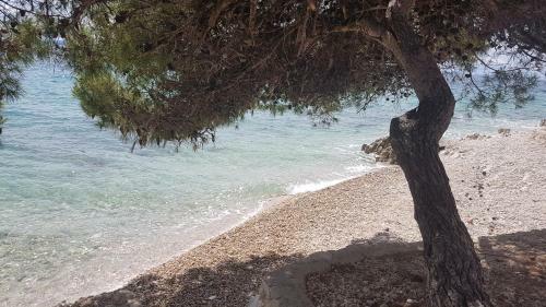 Apartment Aria Exclusive Petrcane