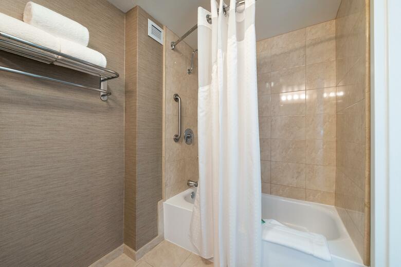 Hotel Holiday Inn Charlotte Center City