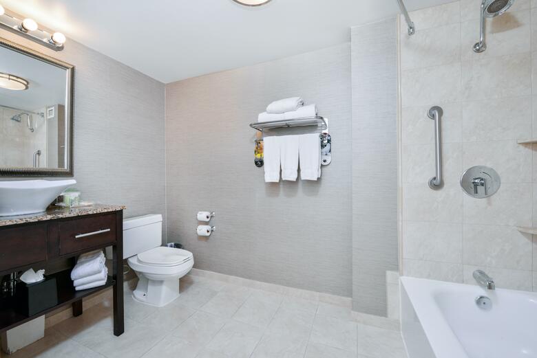 Hotel Holiday Inn Charlotte Center City