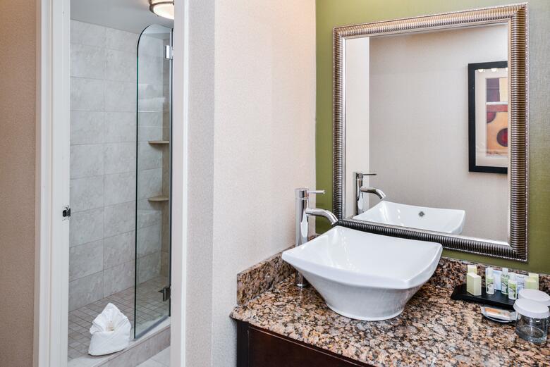 Hotel Holiday Inn Charlotte Center City