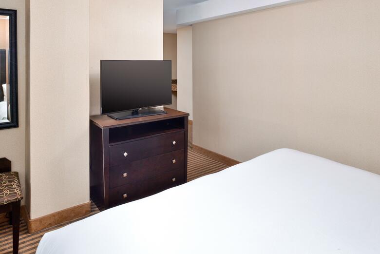 Hotel Holiday Inn Charlotte Center City