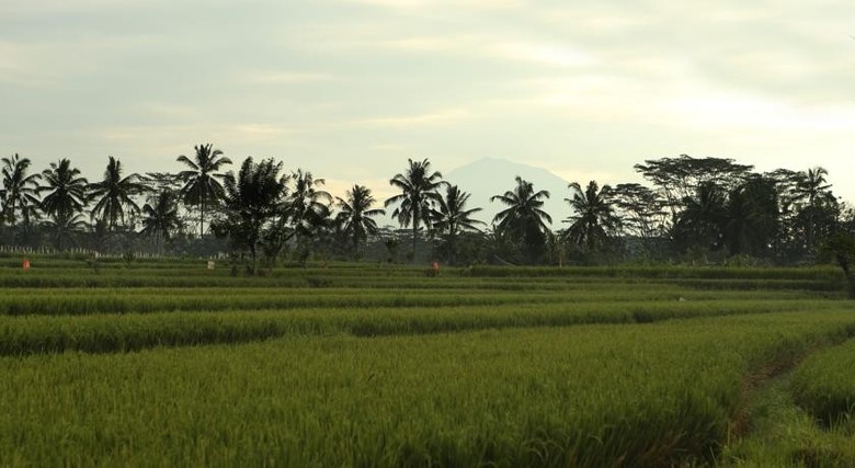 Hotel Alila Ubud