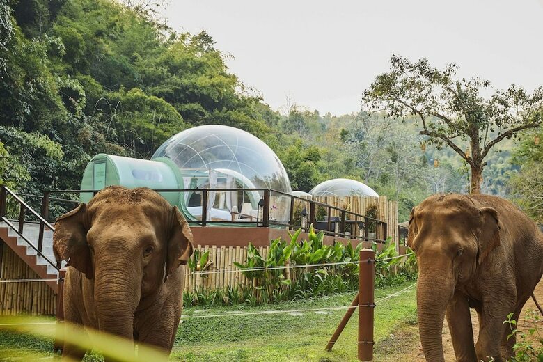 Hotel Anantara Golden Triangle Resort  Spa