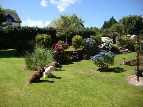 Hostal Lakeland Guest House