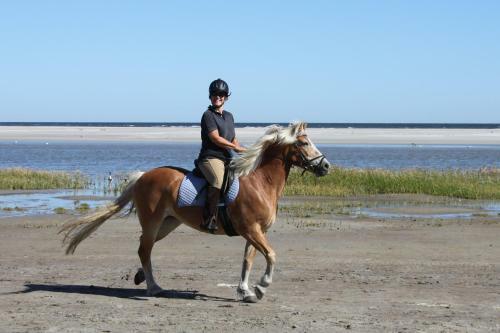 Apartamento Naar Zee Op Ameland