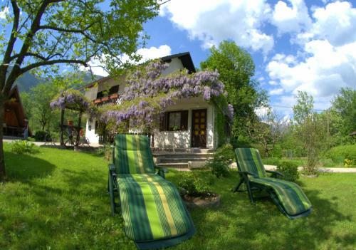 Apartma Bel