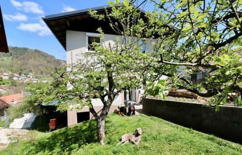 Bergmannhaus Janez Skubic Sp