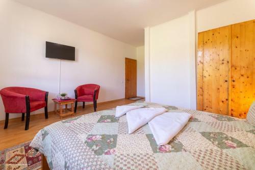 Hostal Pensiunea Baron Bazna