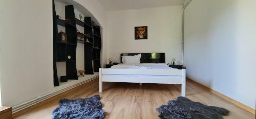 Hostal Pensiunea Baron Bazna