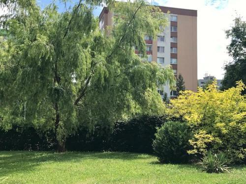 Apartm�n Am�lia