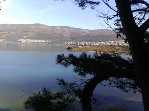 Apartman Volarevic