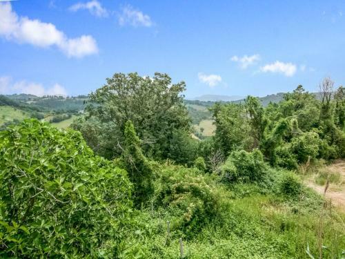 Comfortable Apartment In Assisi With A Terrace