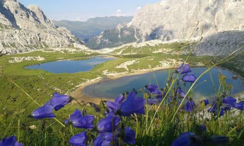 Apartamento Dolomiti