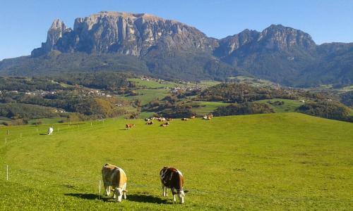 Apartamento Dolomiti
