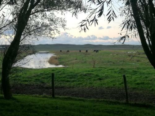 Zwaan's Place
