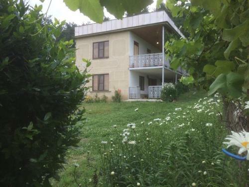 ??? ??? ???? ? ???????