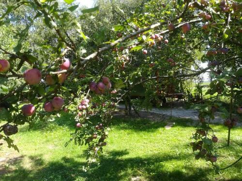 Vegawagen Psyche, Een Sprookje In Coevorden