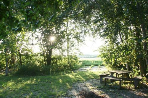 Vegawagen Psyche, Een Sprookje In Coevorden