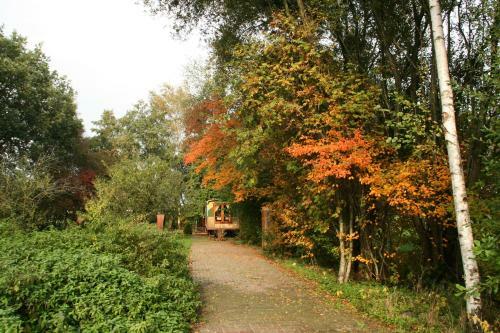 Vegawagen Psyche, Een Sprookje In Coevorden