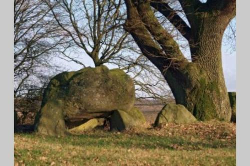 Blokhut de Vlinder Gelegen Aan Het Pieterpad