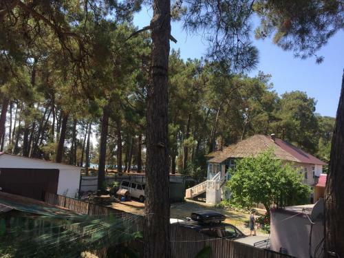 Hostal Guest House Oazis