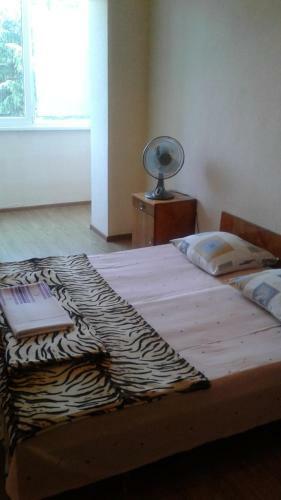 Apartamento 2? ????????? ????????