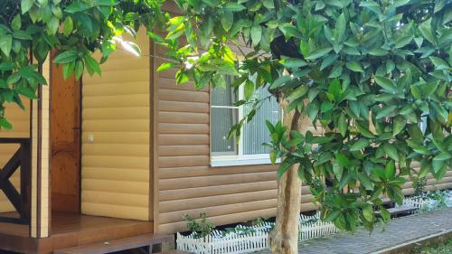 Hostal Breeze